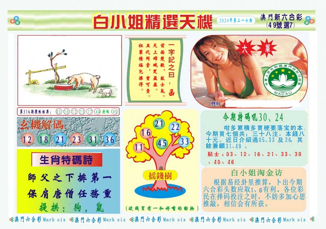 2024317期白小姐精选玄机A