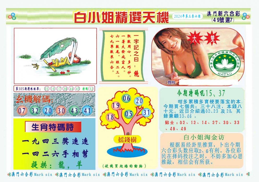2024306期白小姐精选玄机A