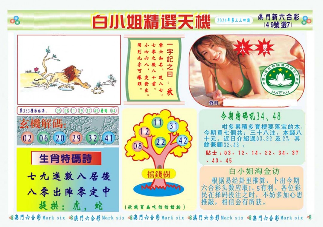 2024334期白小姐精选玄机A