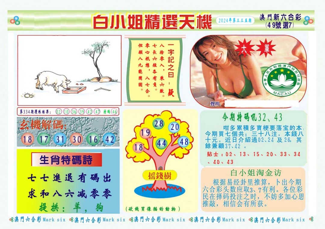 2024335期白小姐精选玄机A