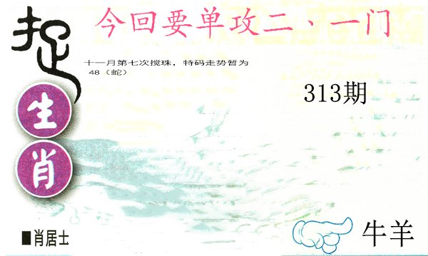 2024313期捉生肖