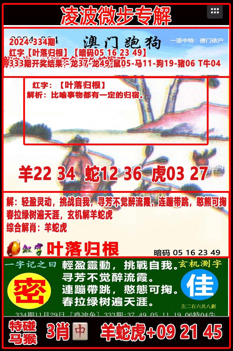 2024334期凌波微步