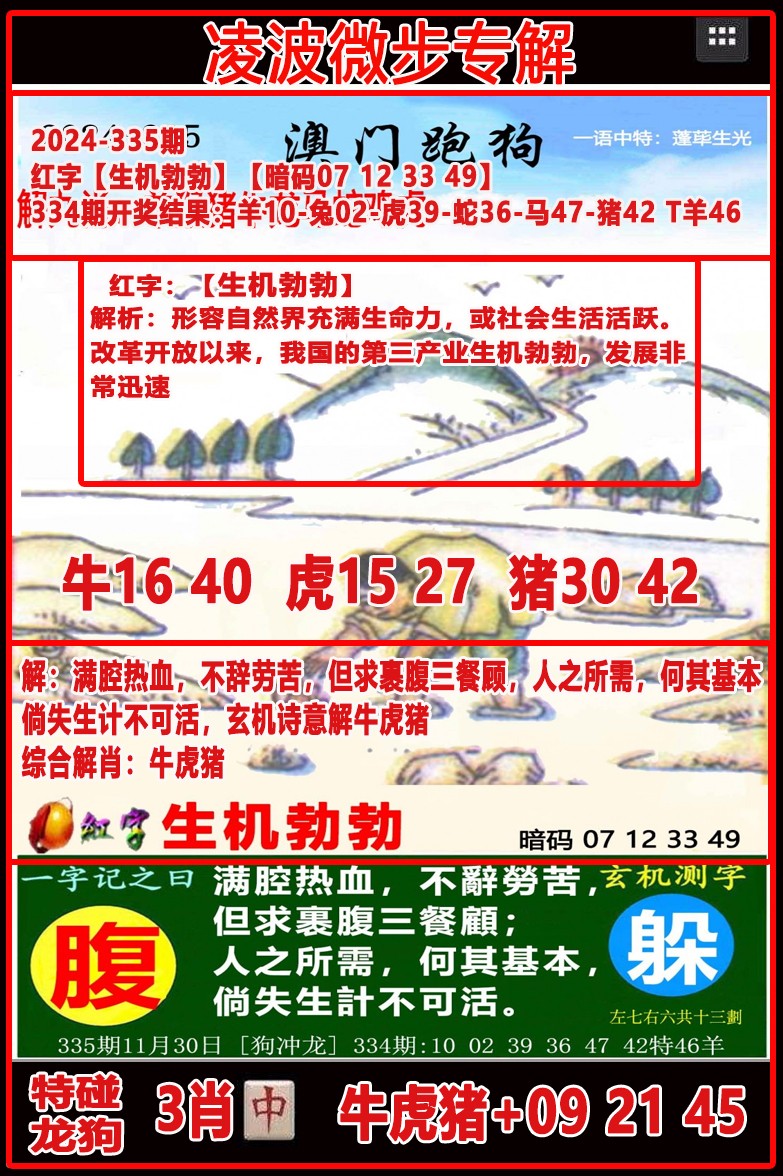 2024335期凌波微步