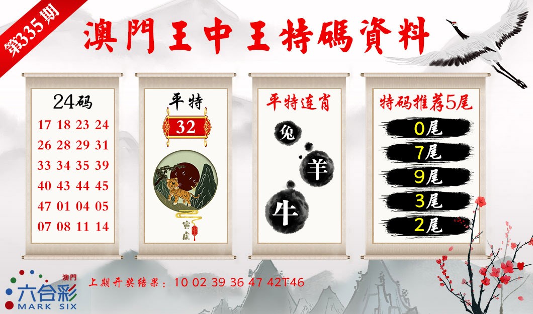 2024335期王中王特码料