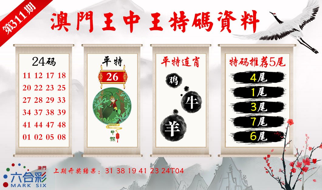 2024311期王中王特码料