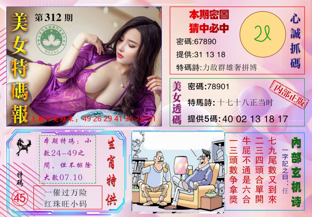2024312期美女特码报