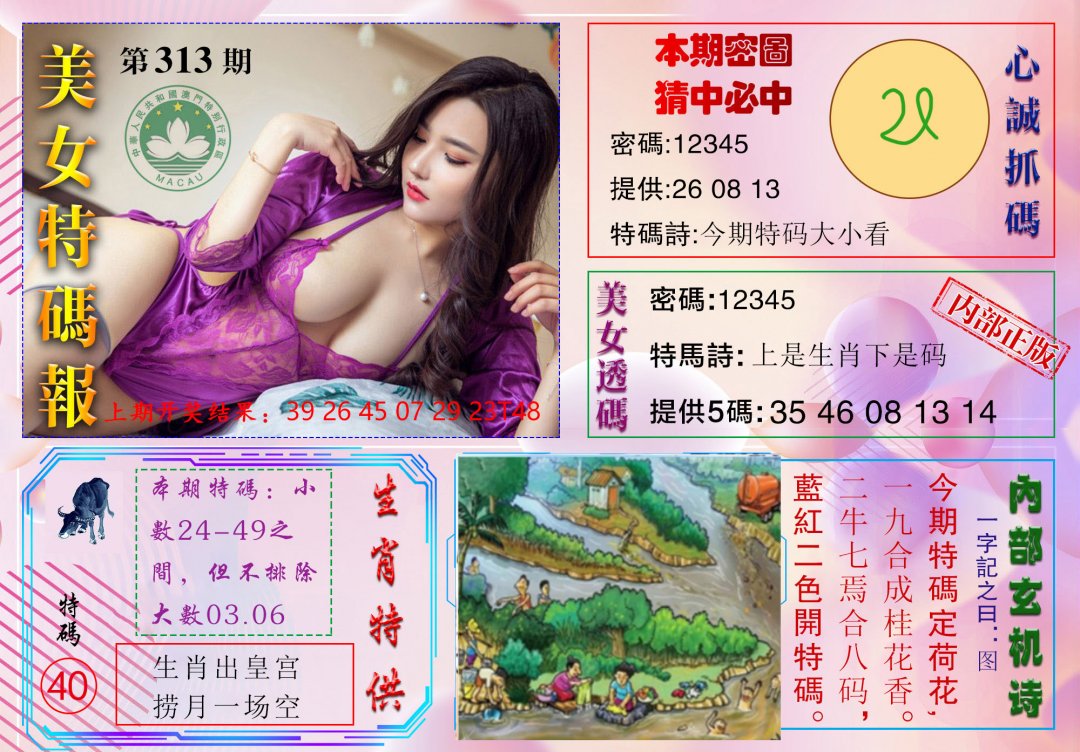 2024313期美女特码报