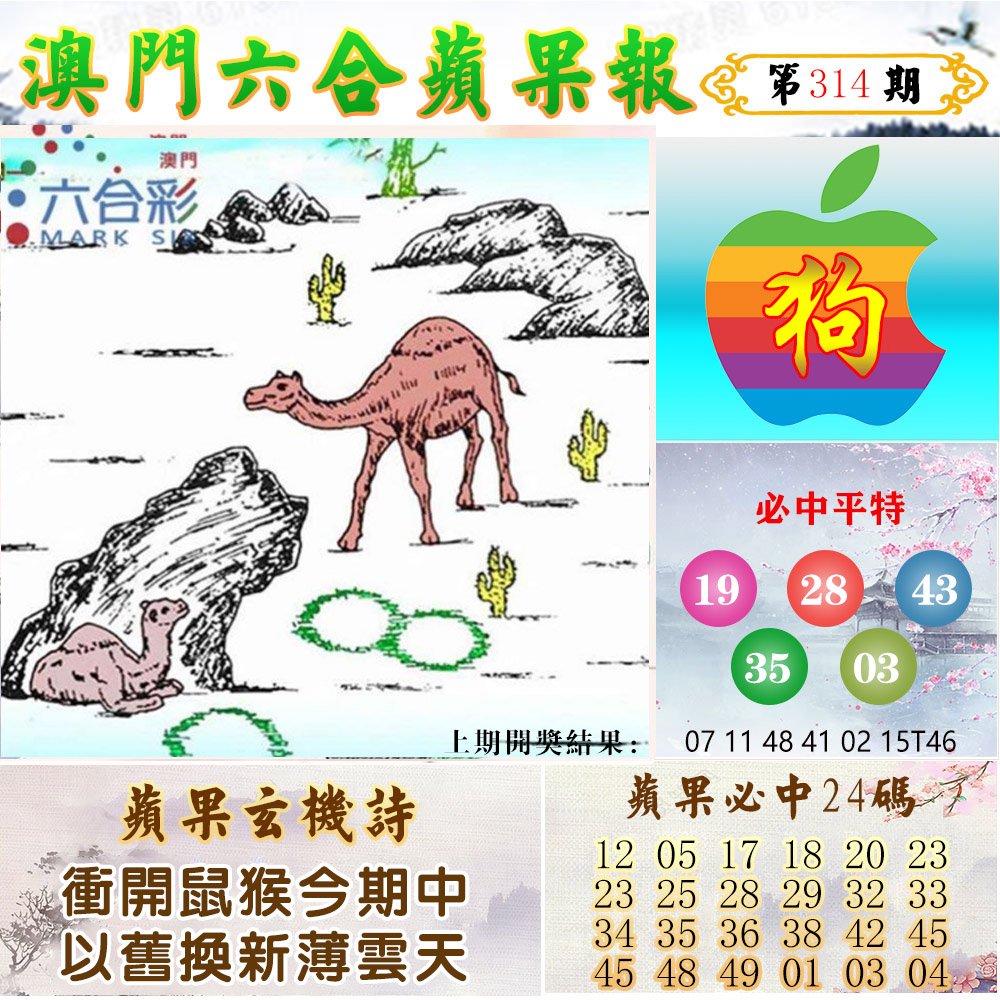 2024314期苹果报