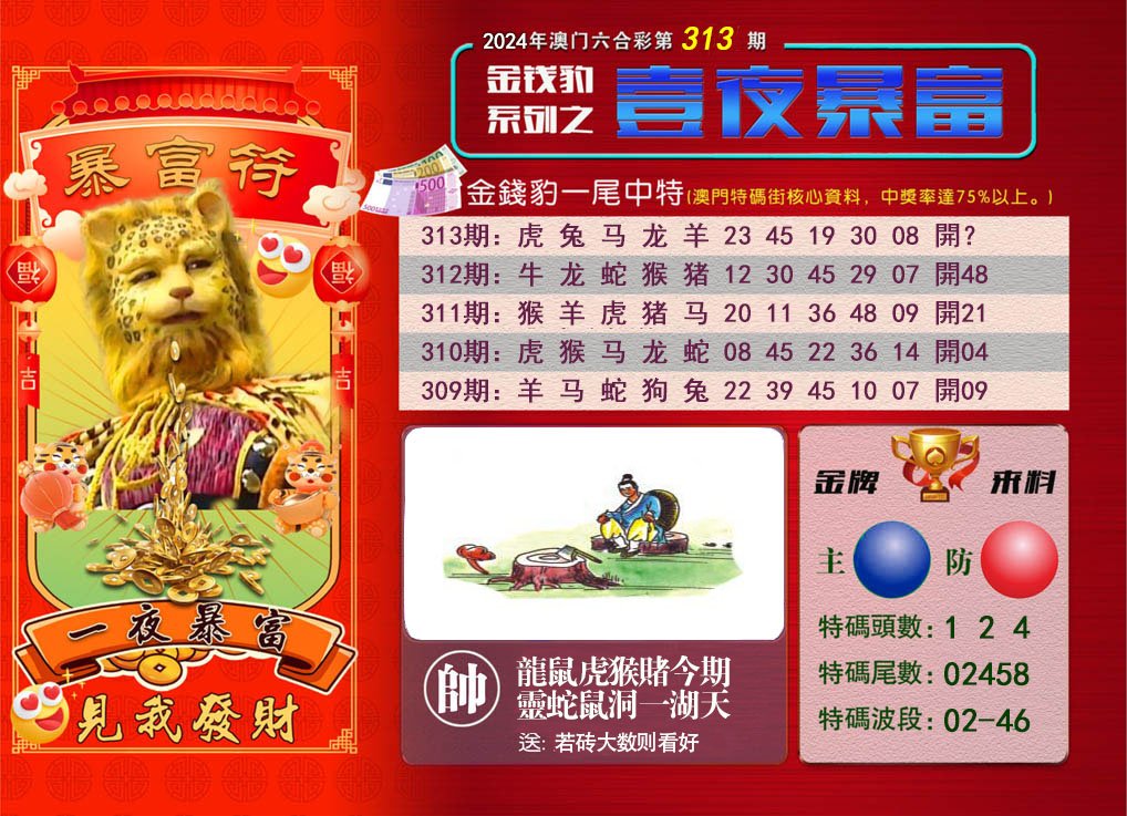 2024313期一夜暴富