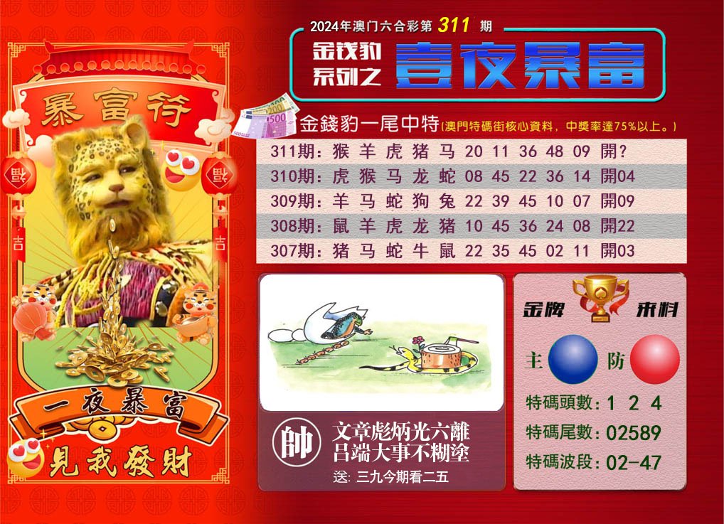 2024311期一夜暴富