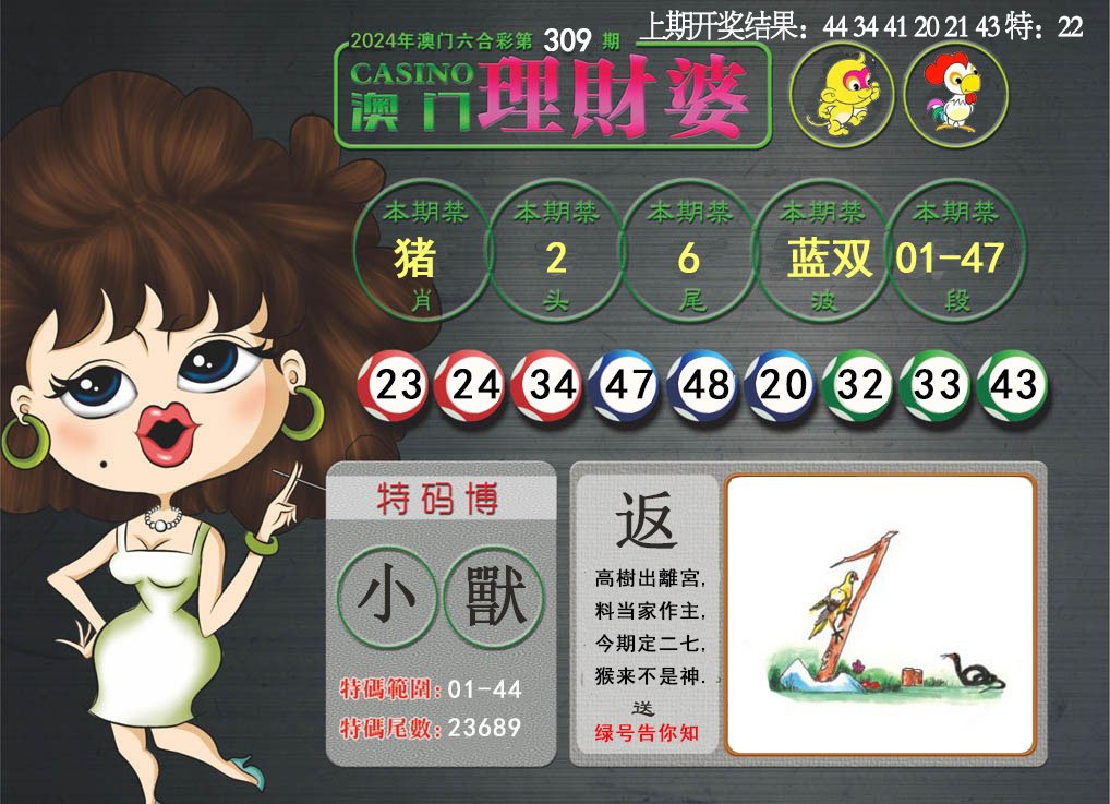 2024309期澳门理财婆