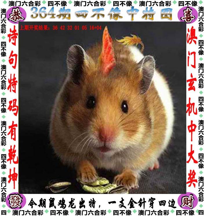 2024364期四不像