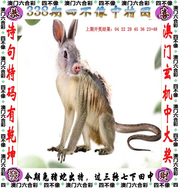 2024338期四不像