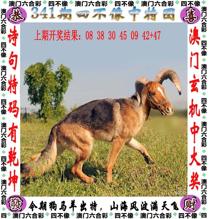 2024341期四不像