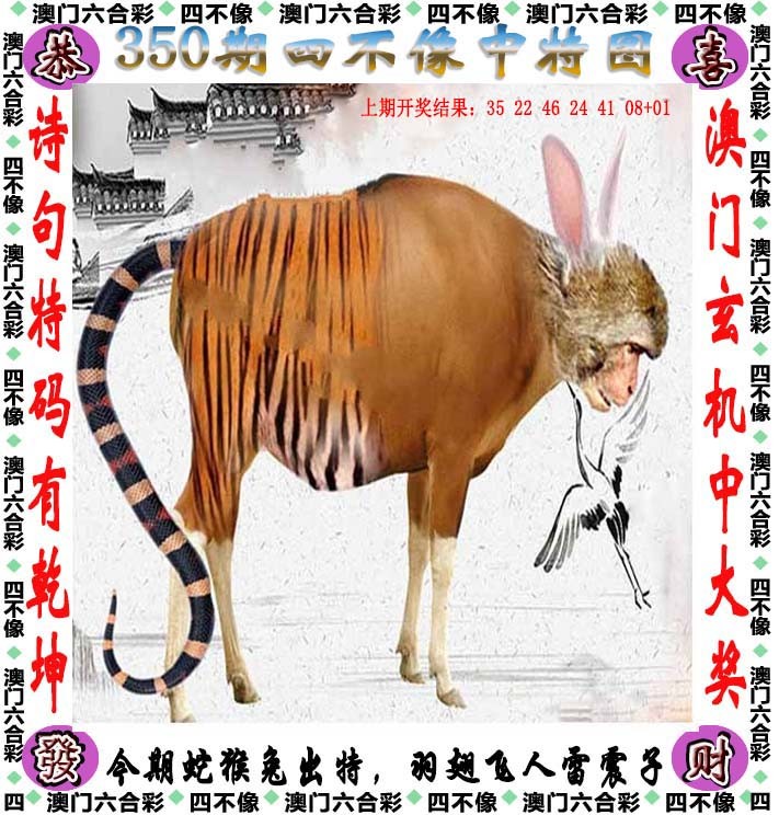2024350期四不像