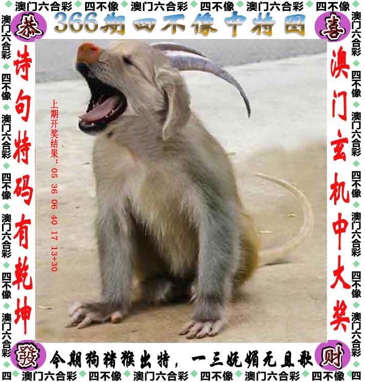 2024366期四不像