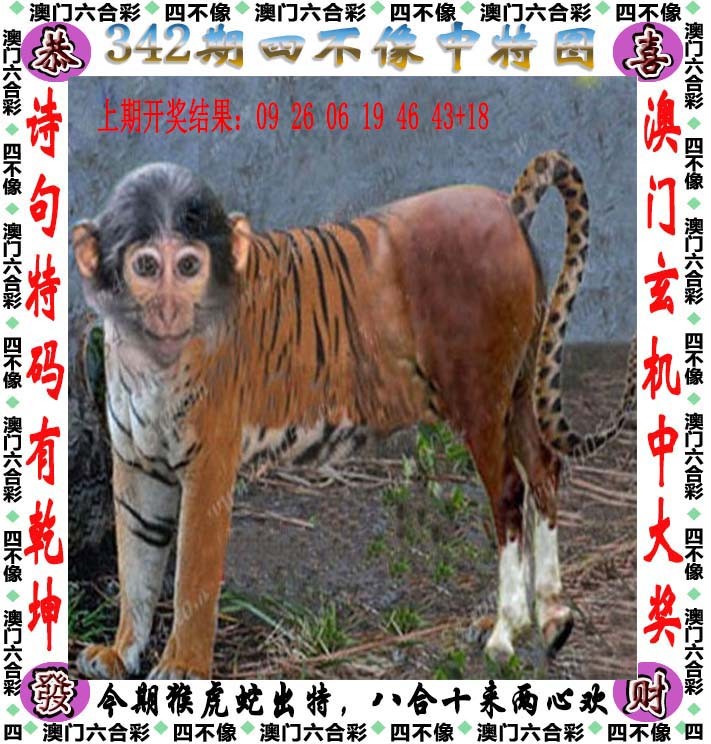 2024342期四不像
