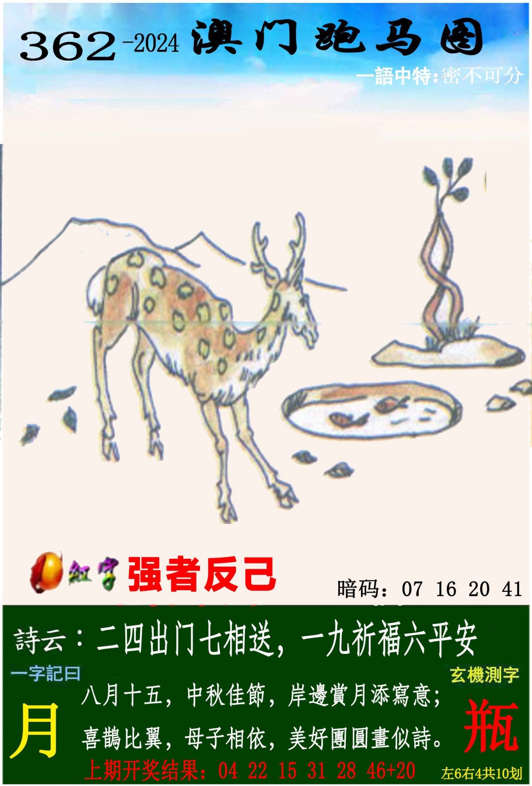 2024362期跑马图