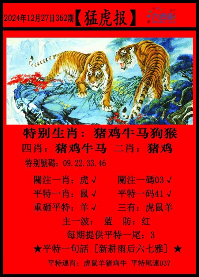 2024362期猛虎报