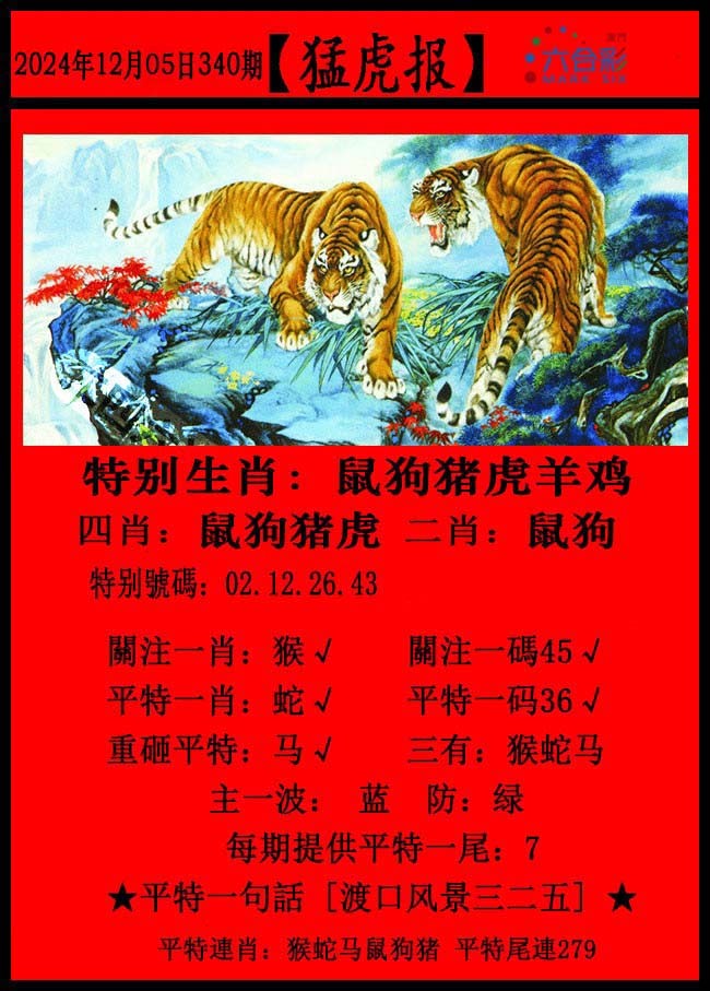 2024340期猛虎报