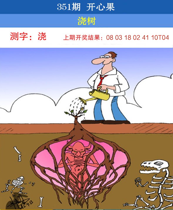 2024351期开心果