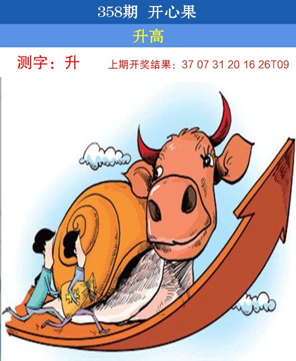 2024358期开心果