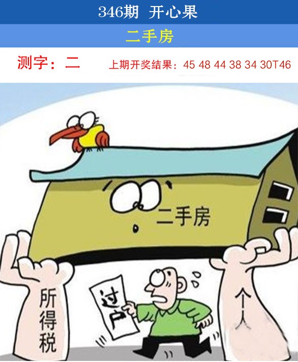 2024346期开心果