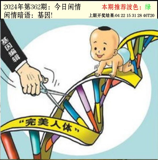 2024362期今日闲情2