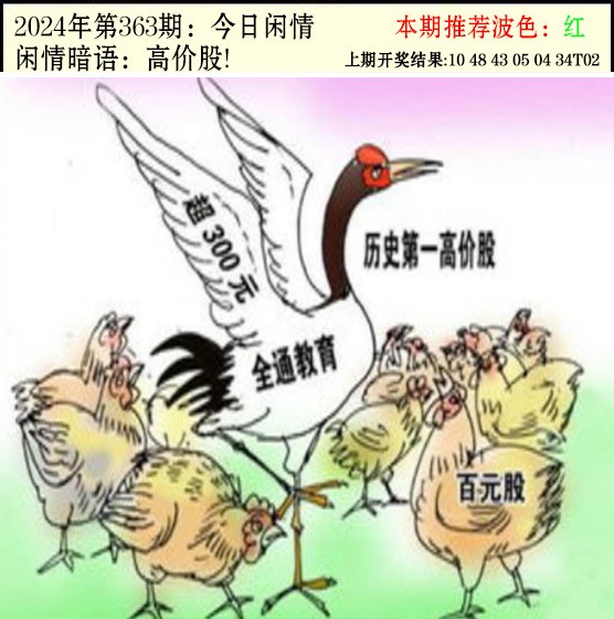 2024363期今日闲情2