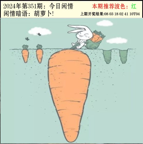 2024351期今日闲情2