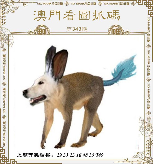 2024343期澳门看图抓码