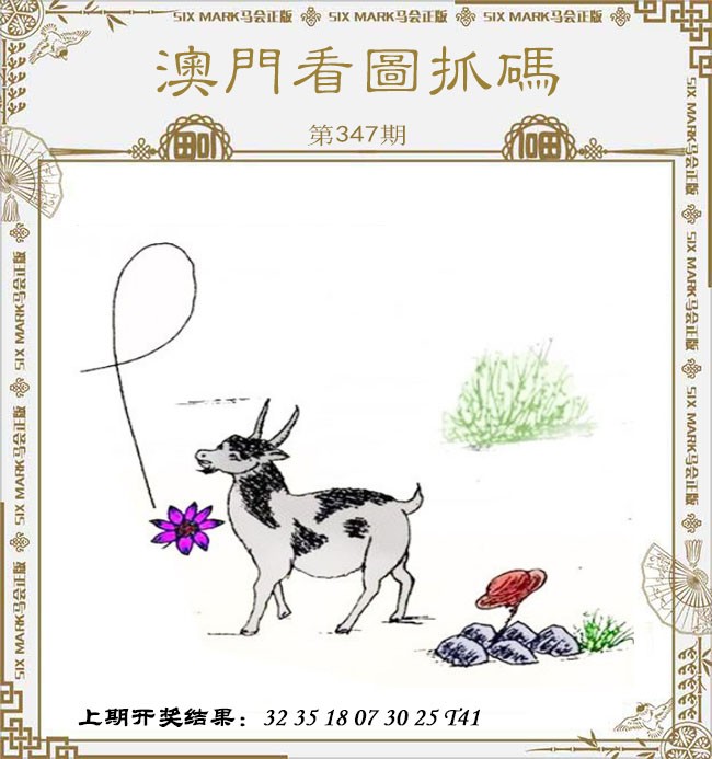 2024347期澳门看图抓码