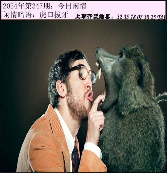 2024347期今日闲情