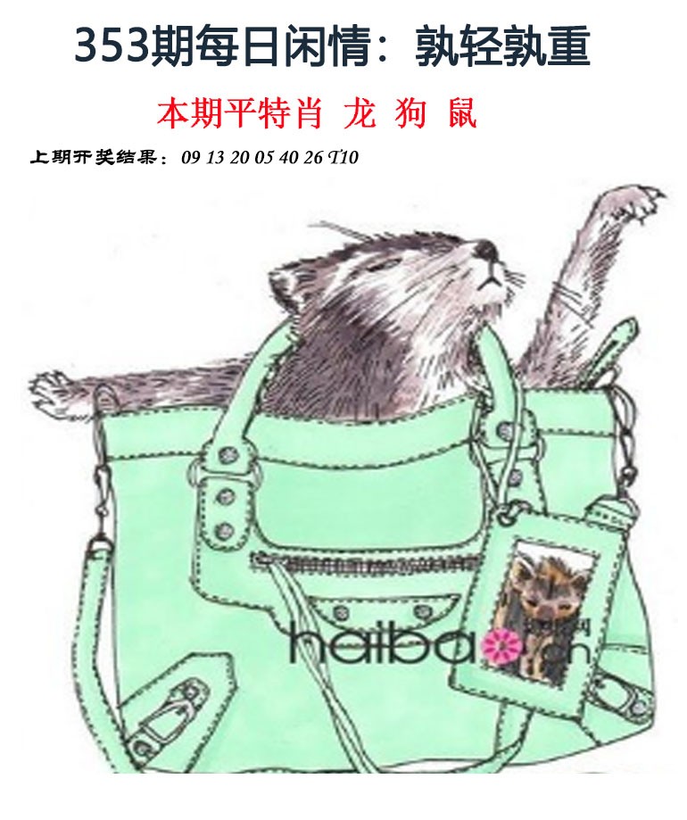 2024353期每日闲情