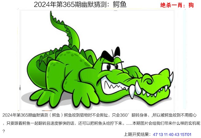2024365期幽默猜测