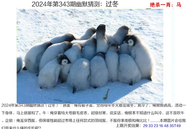 2024343期幽默猜测
