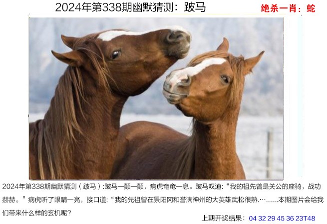2024338期幽默猜测