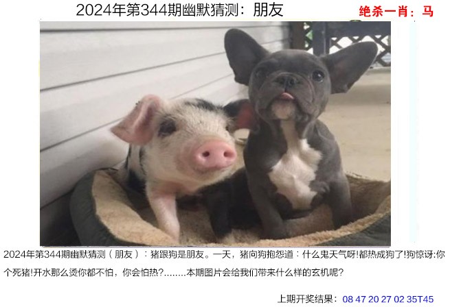 2024344期幽默猜测