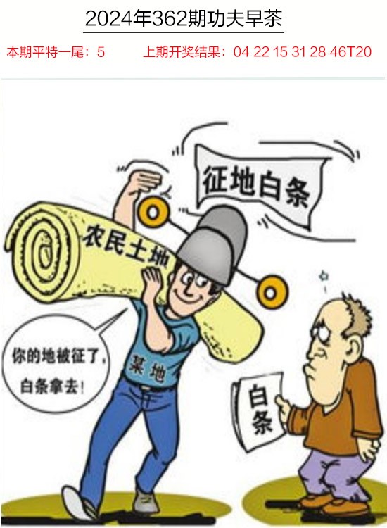 2024362期功夫早茶