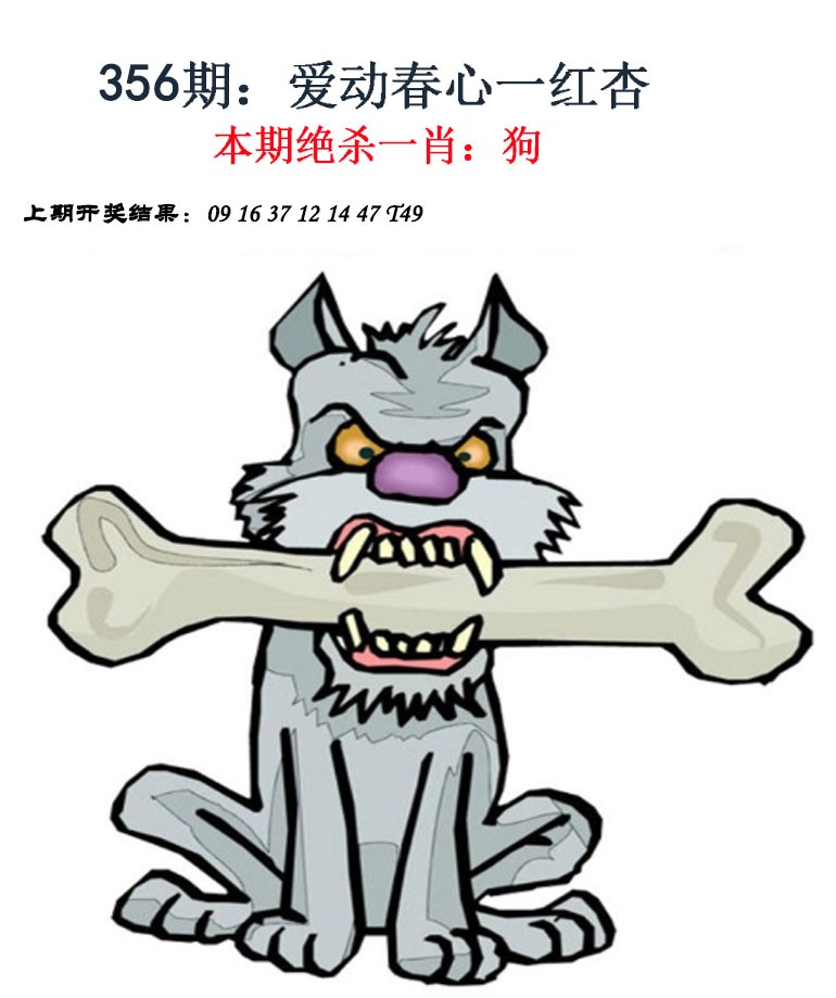 2024356期金钱豹自有真功夫