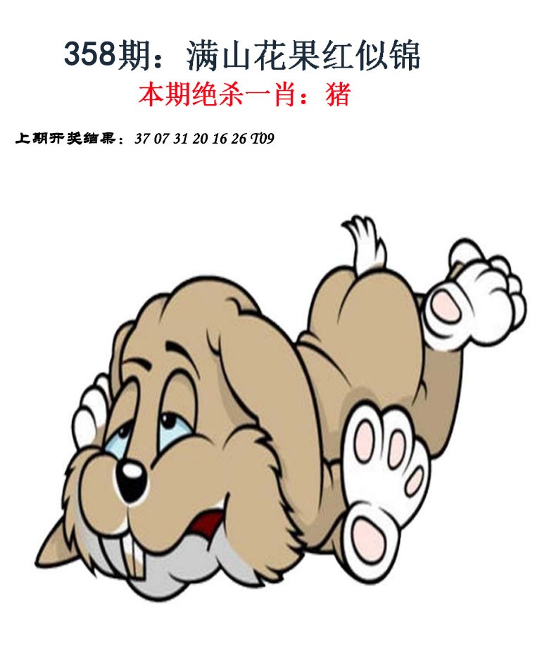 2024358期金钱豹自有真功夫