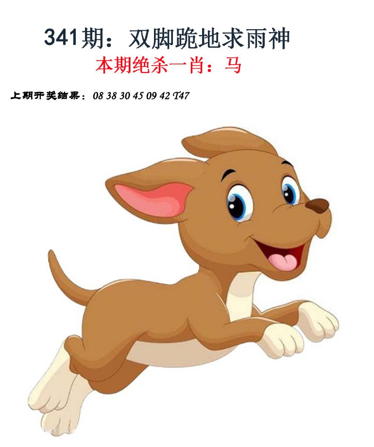 2024341期金钱豹自有真功夫