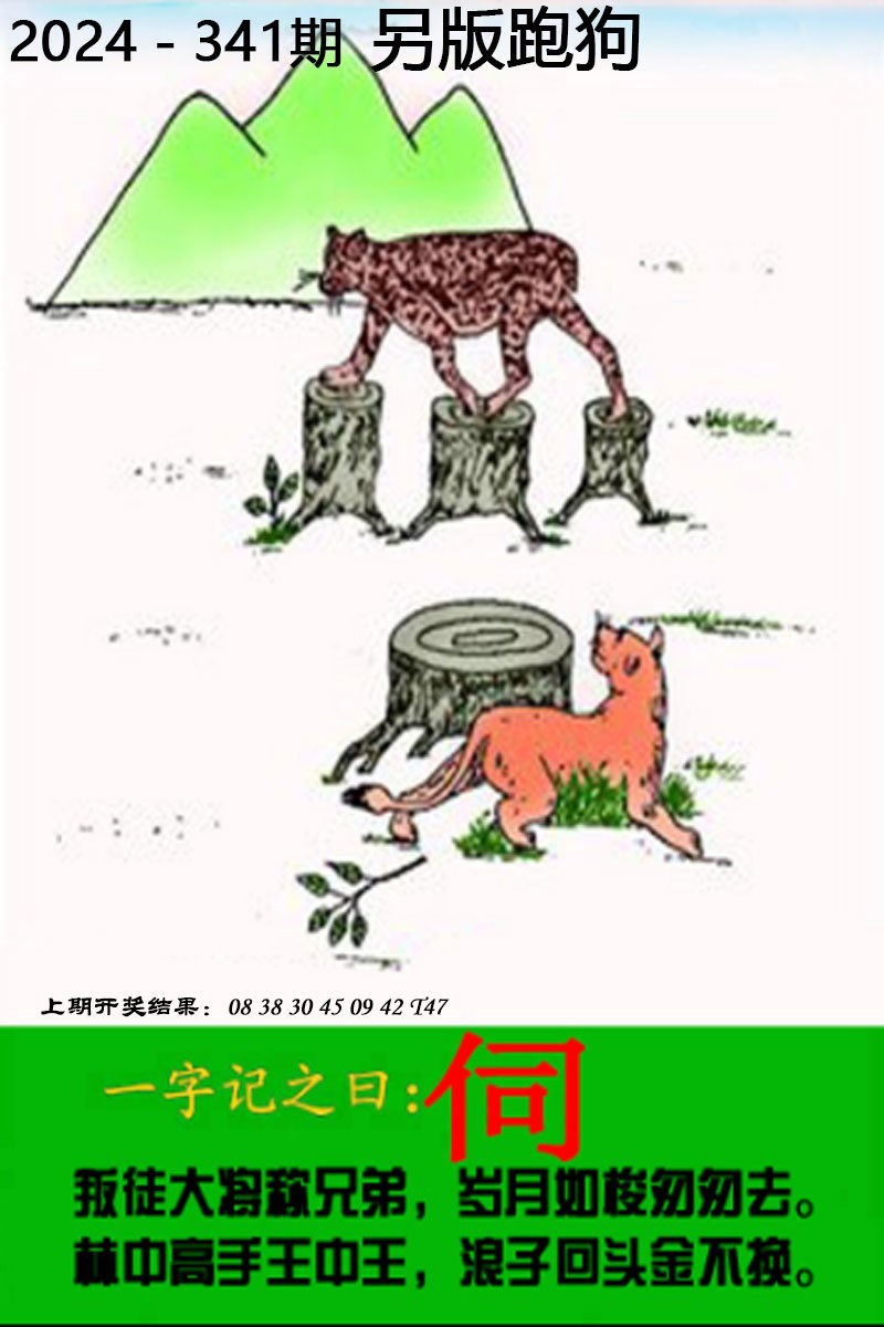 2024341期另版跑狗图