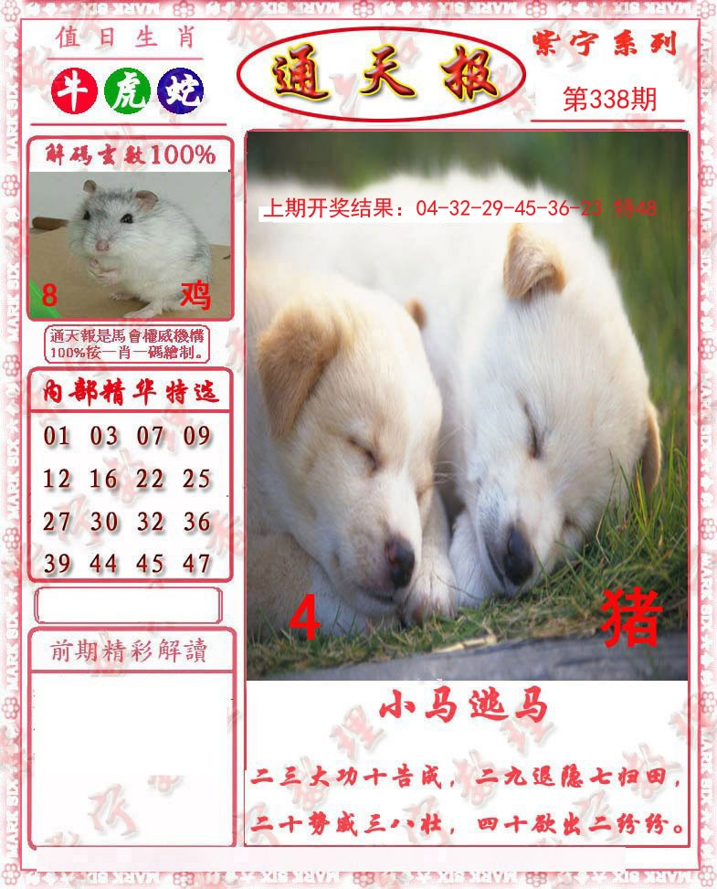 2024338期救通报