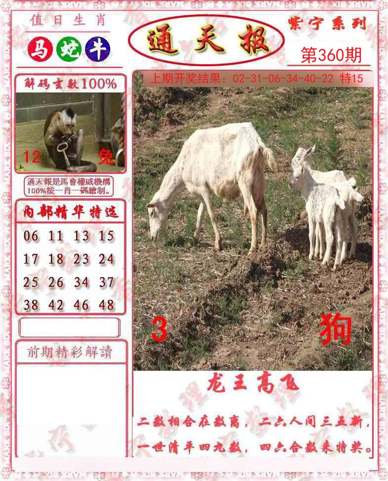 2024360期救通报