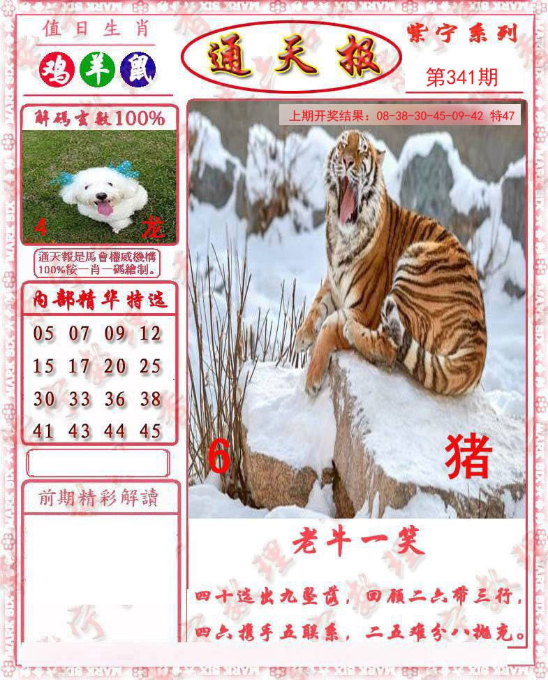 2024341期救通报