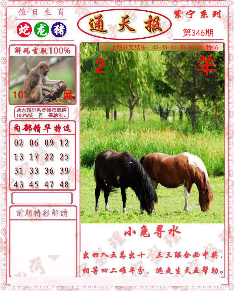 2024346期救通报