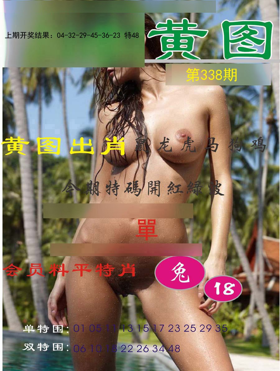2024338期黄图