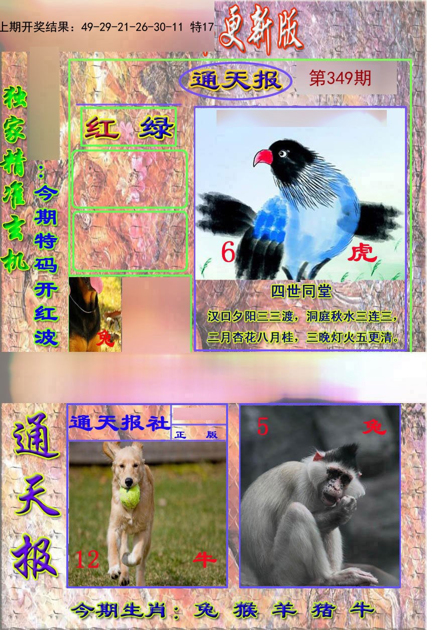 2024349期新通报