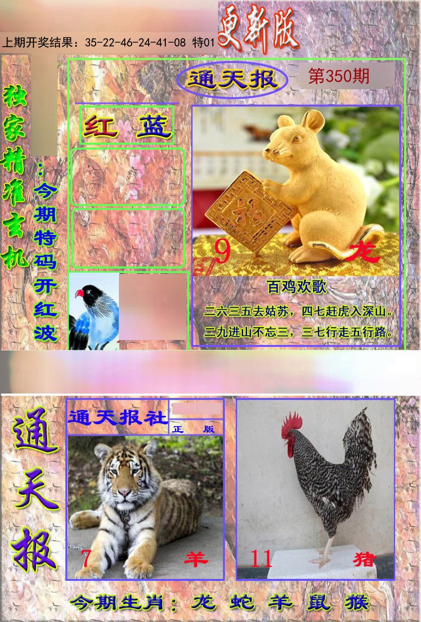 2024350期新通报